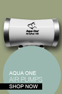 Shop Aqua One Air Pump Kits
