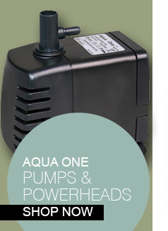 Shop Aqua One Pumps and Powerheads