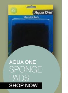 Shop Aqua One Sponge Pads