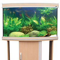 Aquience Bow Front 1000 Aquarium Spares and Accessories Available from Aqua One Parts