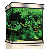 Aquience Cube 650 Aquarium