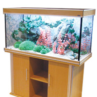 Aquience 1000R (Rectangle) Aquarium Spares and Accessories Available from Aqua One Parts