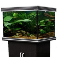 Aquience 800R (Rectangle) Aquarium Spares and Accessories Available from Aqua One Parts