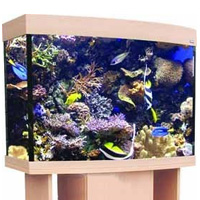 EuroStyle 80 Bow Front Aquarium Spares and Accessories Available from Aqua One Parts