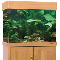 Regency 100 Aquarium Spares and Accessories Available from Aqua One Parts