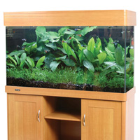 Regency 120 Aquarium Spares and Accessories Available from Aqua One Parts
