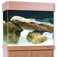 Regency 80 Aquarium Spares and Accessories Available from Aqua One Parts