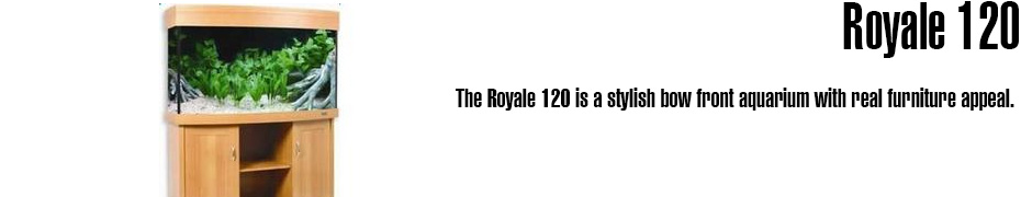 Royale 120 Aquarium