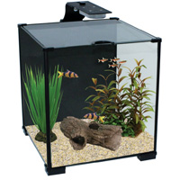 Xpression Aquarium Filter Service Kit Available from Aqua One Parts