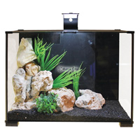 Xpression 21 Aquarium Spares and Accessories Available from Aqua One Parts