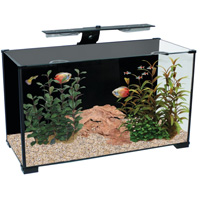Xpression 27 Aquarium Spares and Accessories Available from Aqua One Parts