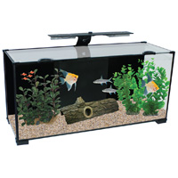 Xpression 32 Aquarium Spares and Accessories Available from Aqua One Parts