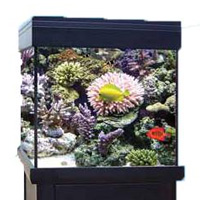 AquaReef Aquarium Spares & Accessories from Aqua One | Aqua One Parts